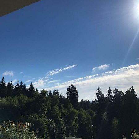 Hahnenklee Ferienpark 1-411 Goslar Kültér fotó