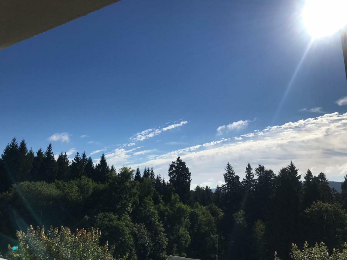 Hahnenklee Ferienpark 1-411 Goslar Kültér fotó