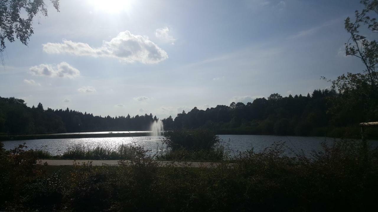 Hahnenklee Ferienpark 1-411 Goslar Kültér fotó
