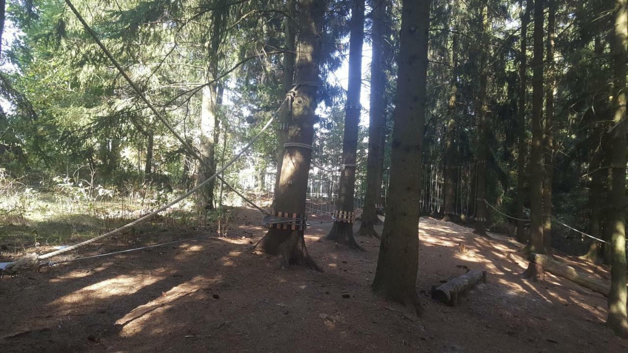 Hahnenklee Ferienpark 1-411 Goslar Kültér fotó