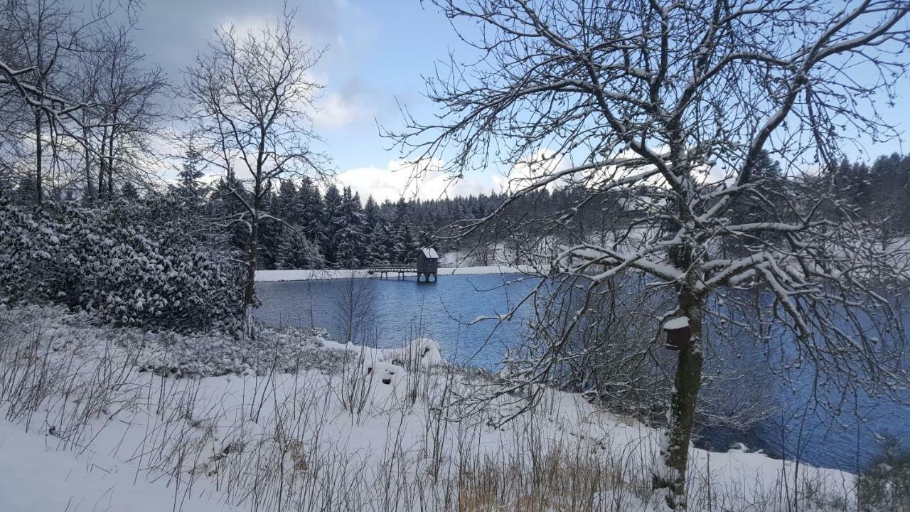 Hahnenklee Ferienpark 1-411 Goslar Kültér fotó